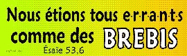 Nous étions tous errants comme des brebis