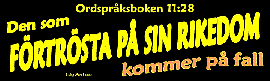 Ordspråksboken 11:28